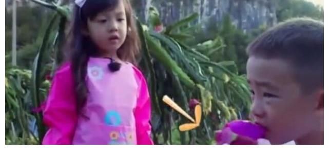 小春|陈小春小丑装VS Jasper吃火龙果,场面太美,哈哈哈哈哈笑不活了