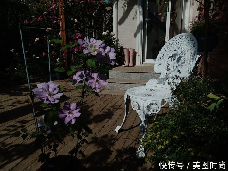 美好时光|花园改造：3年前买了栋带170㎡花园的房子，过上种花草的乡村生活