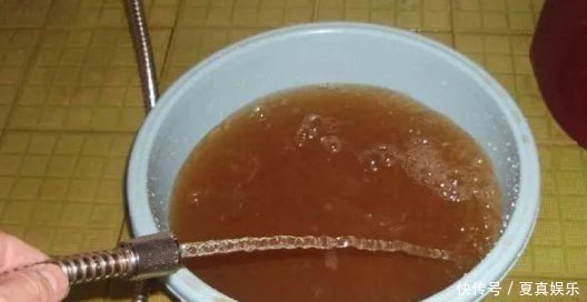 比“雨水”浇花还好，这种水家家有，浇花不用施肥，百利无一害