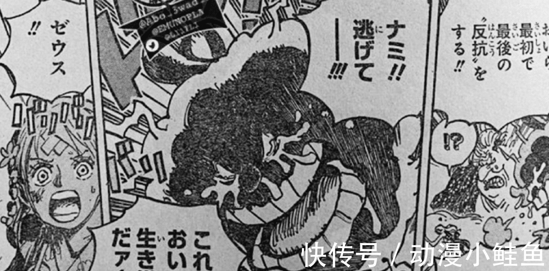 润媞|海贼王1013话：宙斯被吃掉，基德救下娜美和乌索普