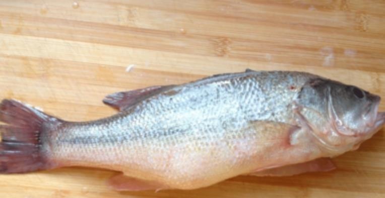 内行人买鲈鱼时,只需认准“这3点”,鱼贩子不敢随便忽悠你!