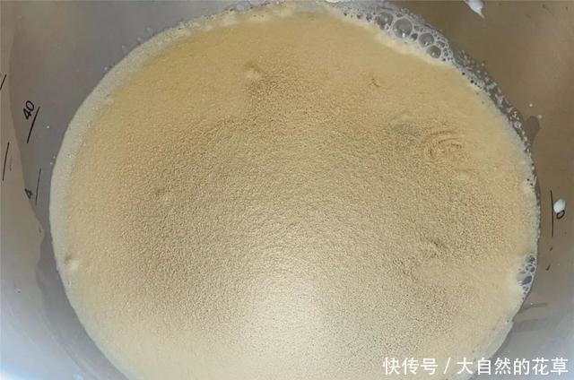 简单而朴素的做法,味道却不普通,最适合新手的烘焙入门面包