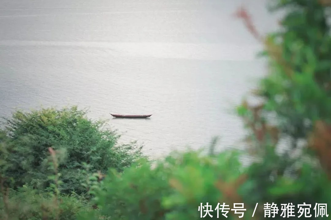 离思|这首诗被誉为“千古第一情诗”,把深情写到了极致,令人感慨万千