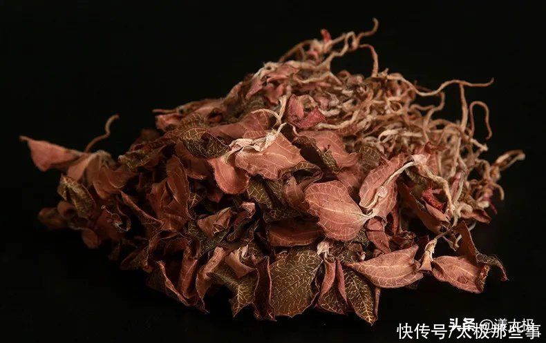 药王|金线莲功效强大，可惜99%的人不懂吃，甚至都没听过