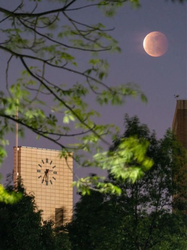 月球 昨晚你看月亮了吗