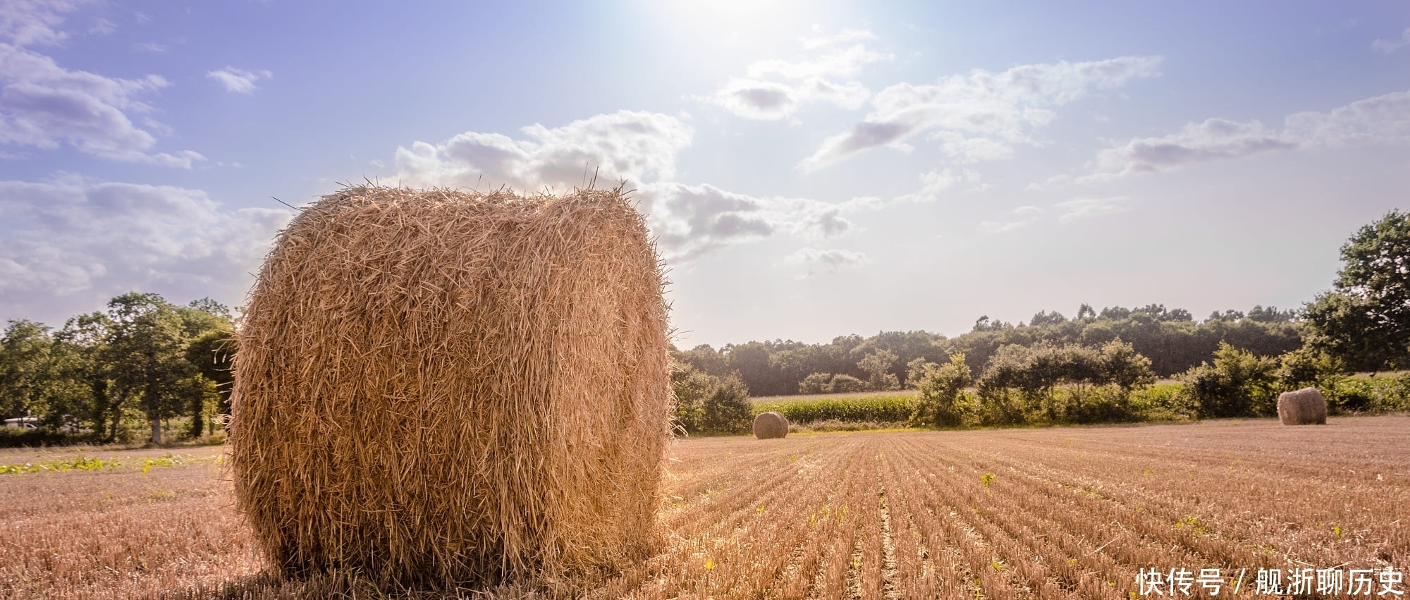 替人|他年少时靠替人抄书来读书,官至太子太傅,多次反对孙权家中刑法