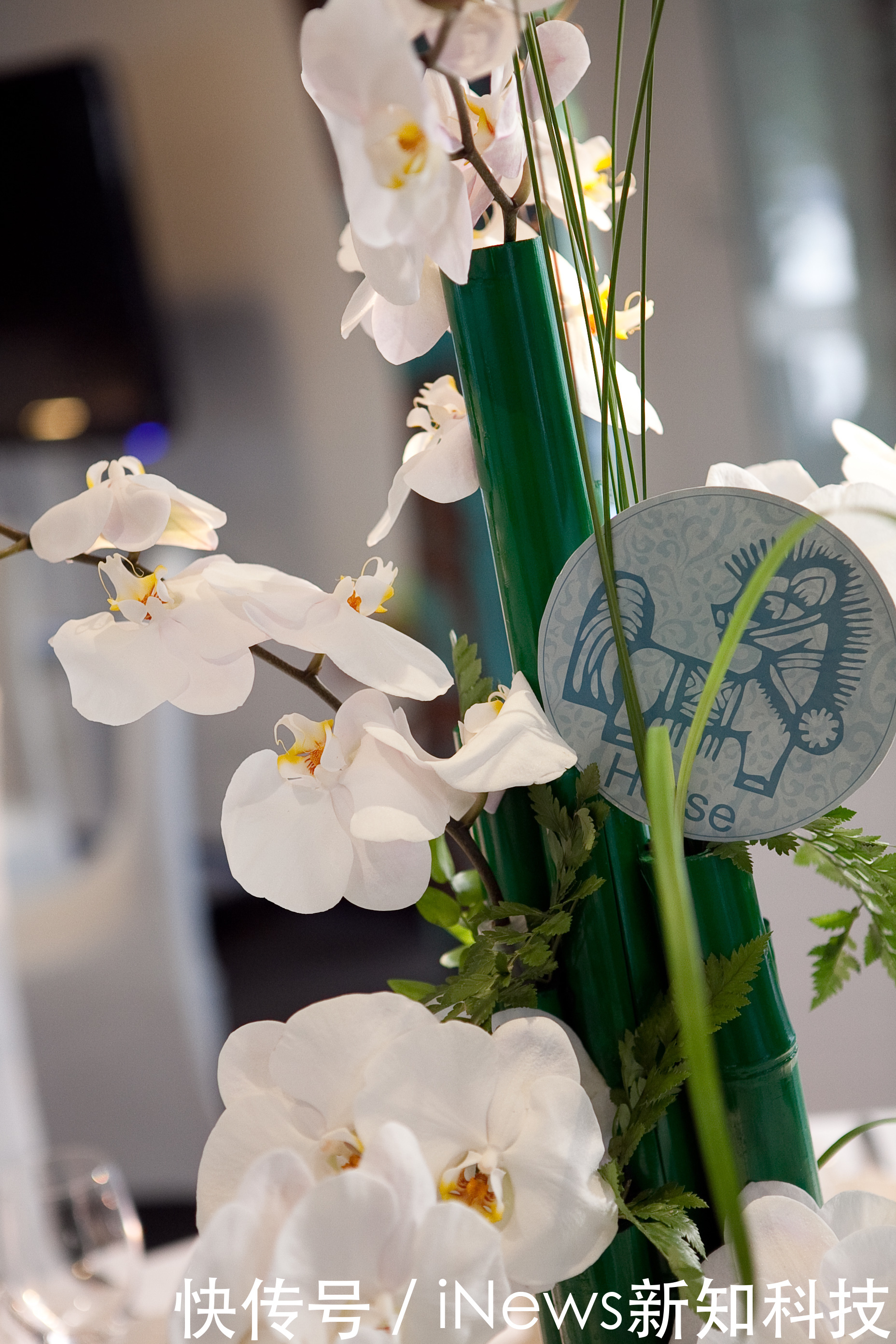 创业人|专访柏灵婚礼顾问创始人林颖,以爱之名“定制”婚礼