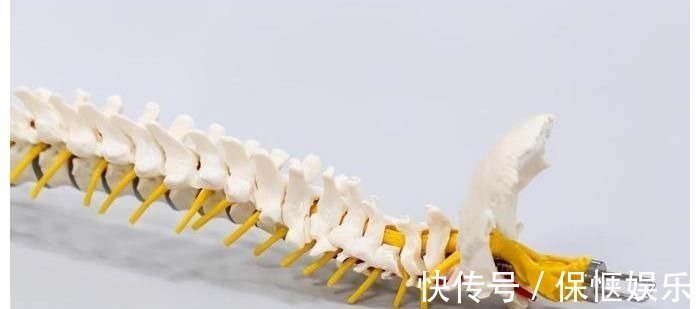 喝牛奶|吃一口等于8杯豆浆,骨科主任:骨不好的人坚持吃,还你“钢铁骨”