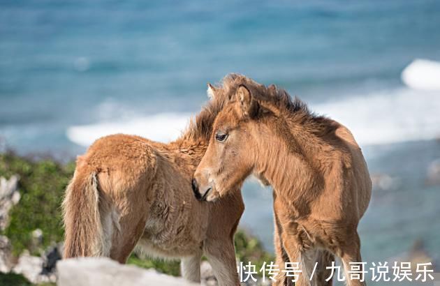 贵人|再熬1天，属马人今年最大的贵人与你相遇，有意外之财双喜之势！