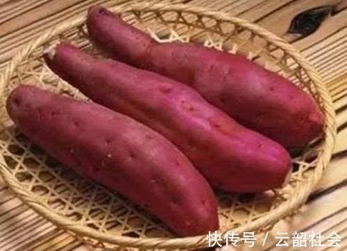 维生素红薯是个“宝”,常吃身体好,但这1个禁忌要清楚,别再吃错