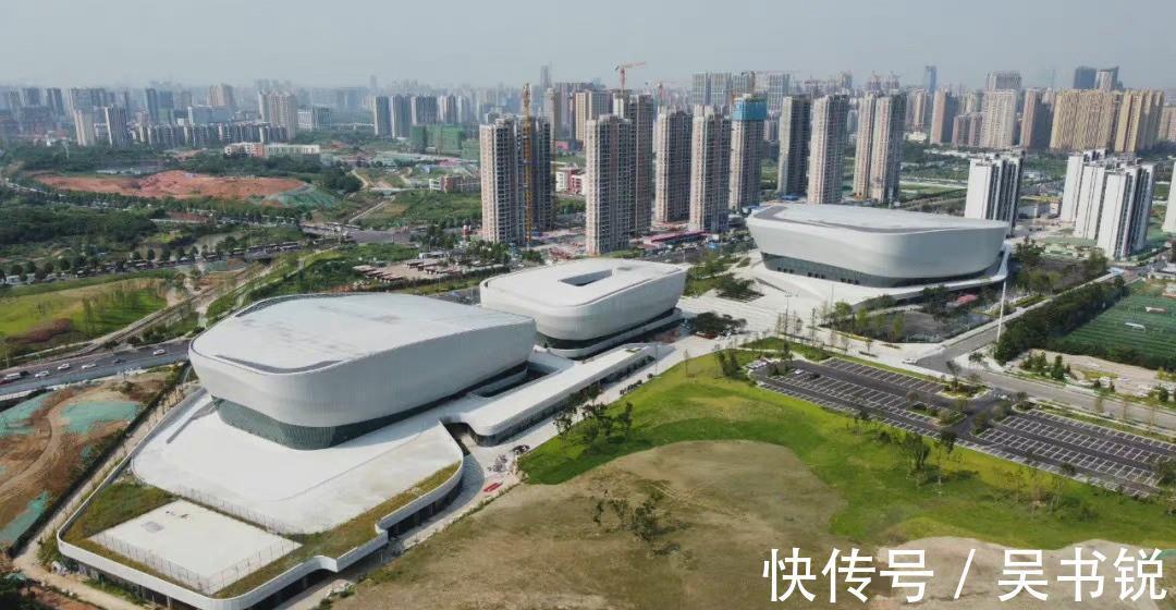 王曼昱|再见刘诗雯!世乒赛举办时间出炉,国乒10人出战,马龙领衔大名单