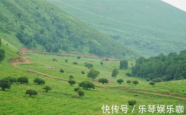 马儿|中国避暑的首选目的地，自驾爱好者的天堂，一路风景如画