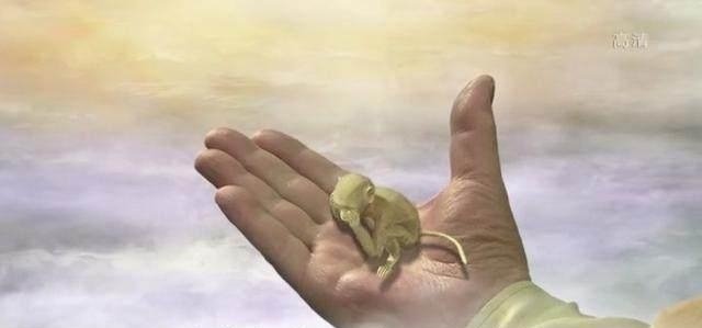  无天|揭露西游记后传最大的谎言 其实无天佛祖完全可以杀死孙悟空