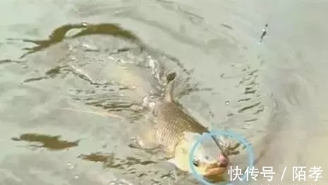 子线长度的选择技技巧