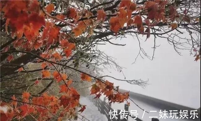 秋雪|当深秋邂逅初雪｜看，四川的秋天有多仙！