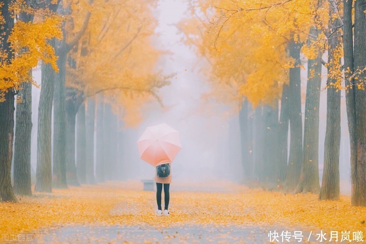 聆听|散文:聆听秋韵,听风吹过指尖流年,听季节的韵脚漫过岁月