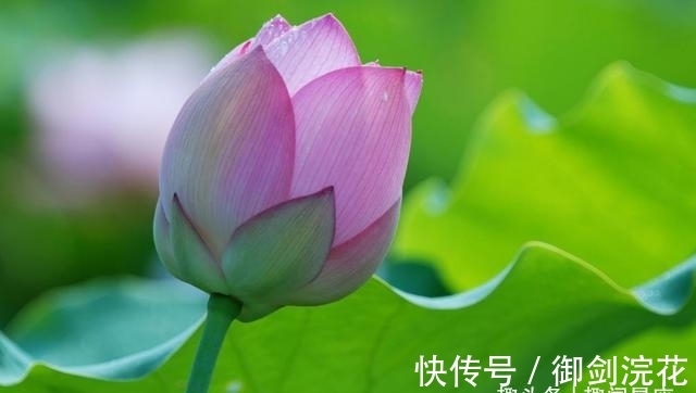 怎样才能很快的从失恋中走出来