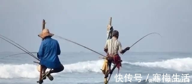 神经素|钓鱼老是空军?掌握这几个细节,新手也能爆护