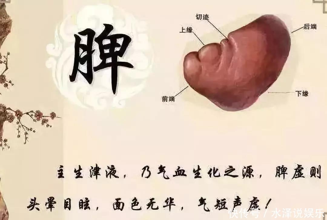 一篇你从未见过,把补脾知识全讲明白的文章!懂养生的人都收藏了