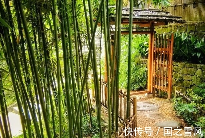 儒家学说!刘禹锡送别高僧,谱写了一首佳作,见解深刻,读了三遍才能体悟