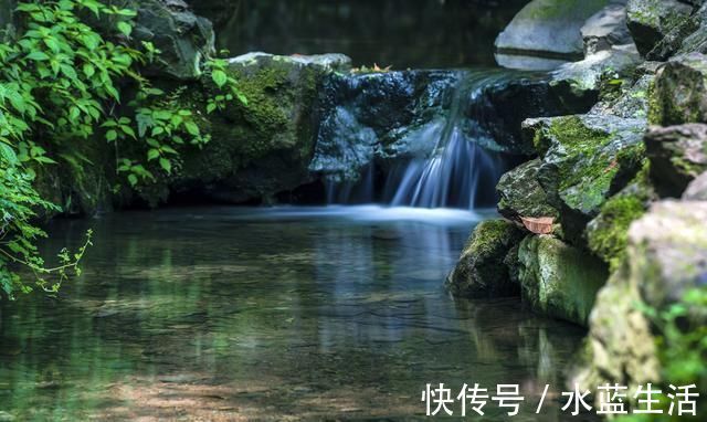 水穷处&王维最经典的一首五律,每一句都充满了禅理,无人能出其右