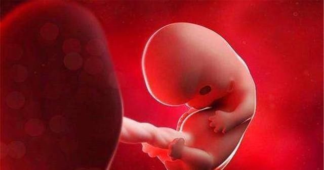 叶酸|胎儿畸形这几周是危险期,只要熬过去,孕妈就可松口气了