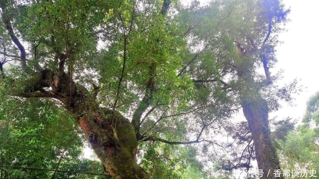 岁月匆匆越千年 古道幽幽今犹在