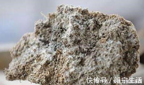 面渣|外婆发面从不用酵母,蒸馒头却比面包蓬松,原来秘密武器是“它”