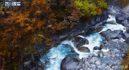 石棉|金秋！雅安石棉漫山披红叶