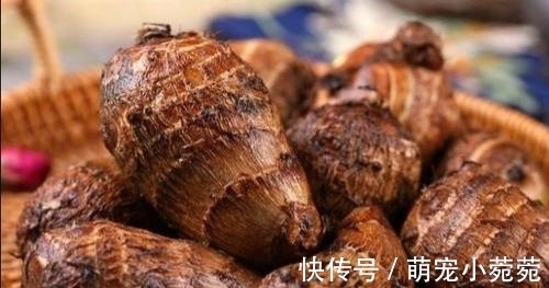 饭键|秋季健脾很重要,分享八种健脾的食物,多吃它们,顺利过秋季