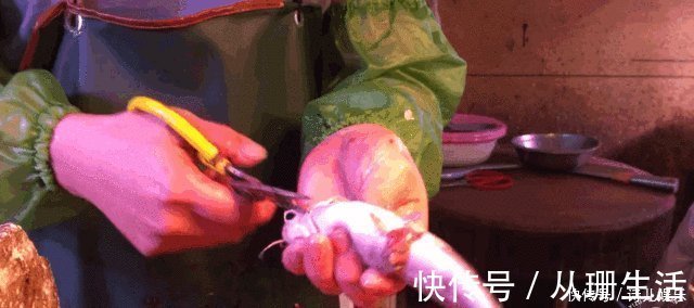 海鱼的100种吃法之一,炖鱼不放姜,无腥味,家人说锅太小不够吃!