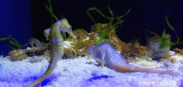 最合适|想怀孕的话,这几个月怀孕是最合适的,九成的人都不知道!