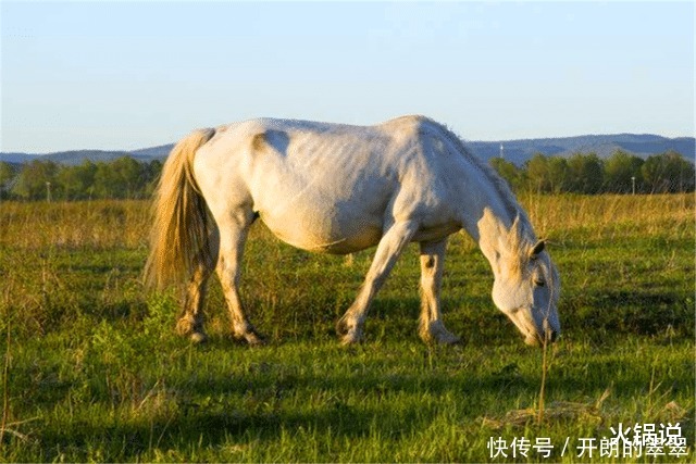 “人有善愿,天必佑之”老祖宗留下4句处世经典,读懂受益终身