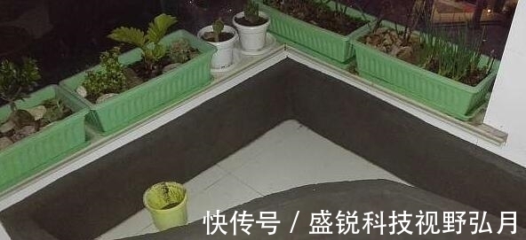 鱼池|偷偷在阳台砖砌鱼池, 邻居来玩, 去物业把我投诉了