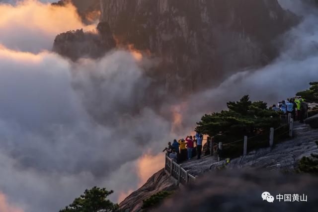 寻秋记|「黄山寻秋记」暮色黄山 心神向往