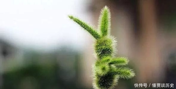 日出|日出老师作品:《我不想说》诵/冰雪梅馨