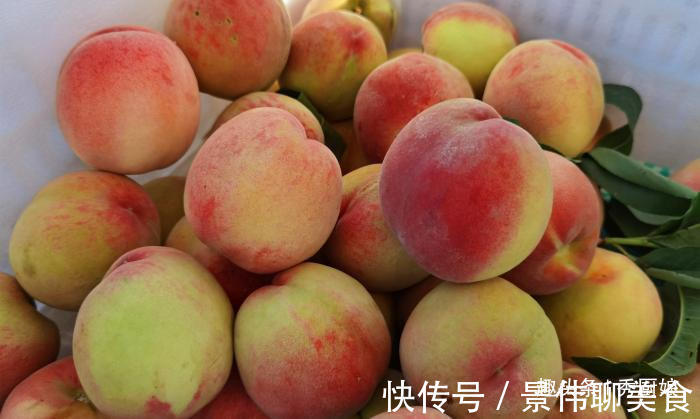 桃子|买桃子时，就挑“公”的，肉多核小汁水多，教你6招，一挑一个准