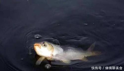 浮漂|钓具选择“坑”很多,这些华而不实的钓具,多数没啥用!