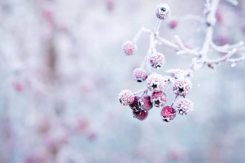  冬至节气|俗语“冬在头，冷年兜”，今年冬天会冷么？老话有道理吗