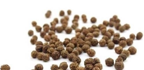 调理|没想到这样一味中药，却能调理腹泻、崩漏、遗精等尴尬的疾病