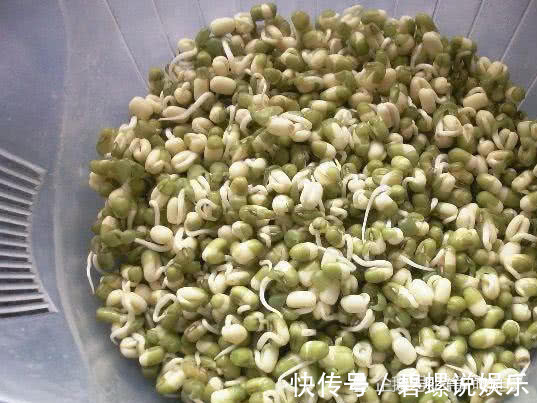 出芽率|终于找到发绿豆芽出芽率高的方法了,4天就能吃,口感脆嫩又健康