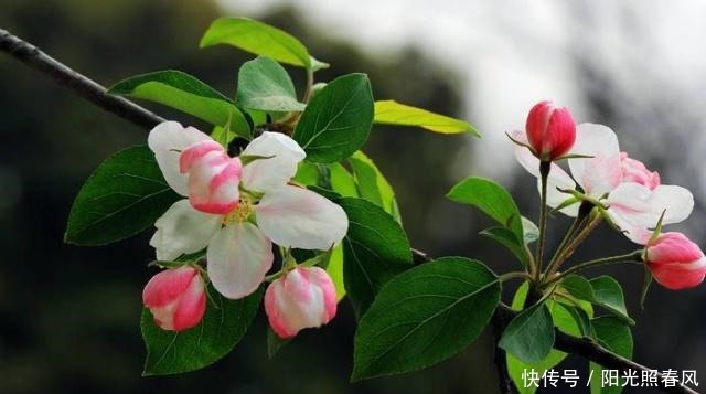 为人处世|真正厉害的人,为人处世,往往能做到这四点!