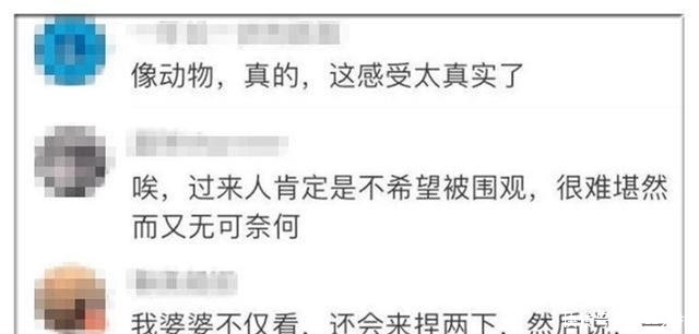 共鸣|“喂奶被围观，觉得自己像动物”，王斯然产后情绪崩溃，引共鸣