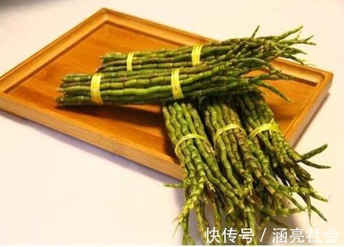 桑叶茶桑叶茶|别嫌它们不起眼,却是糖尿病的克星,白开水里撒一把,轻松降血糖