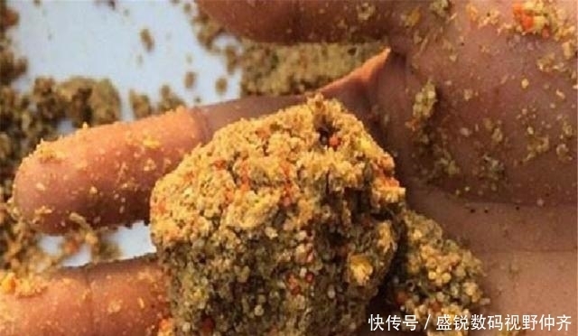 淡水鱼|这东西2块钱1斤,很适合钓鲤鱼,诱钓结合让鲤鱼乖乖上岸