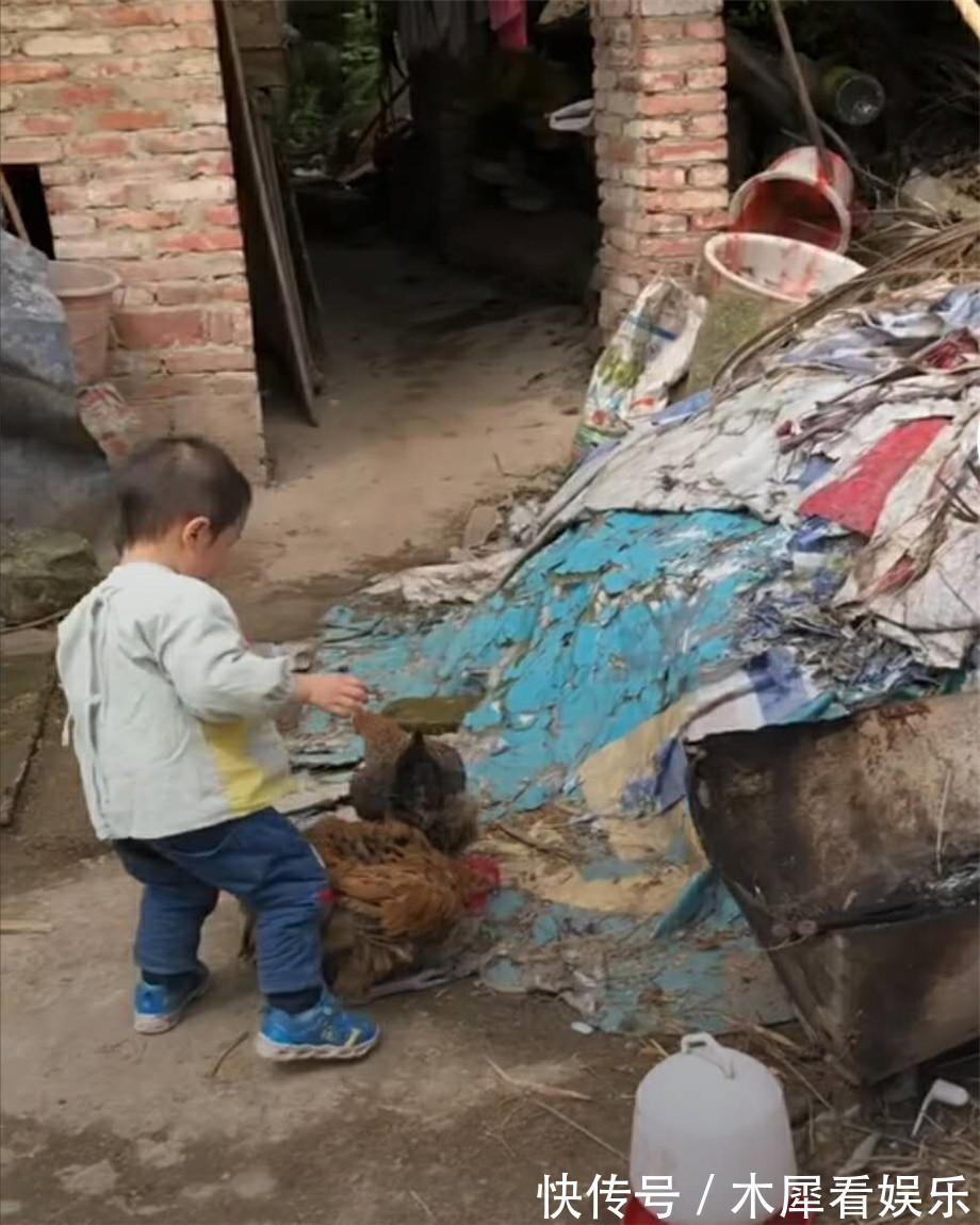 小男孩|家里的大公鸡刚喂胖,外孙来了,姥姥愁了,姥爷却笑喷