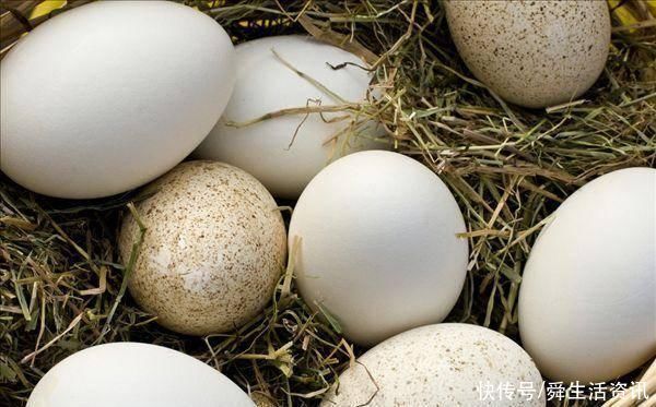 医生|刚怀孕就要吃鹅蛋吗妇产医生这个月吃最好,很多孕妈搞错了