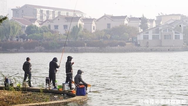 江河垂钓应对流水是关键,这些技巧能帮你爆护
