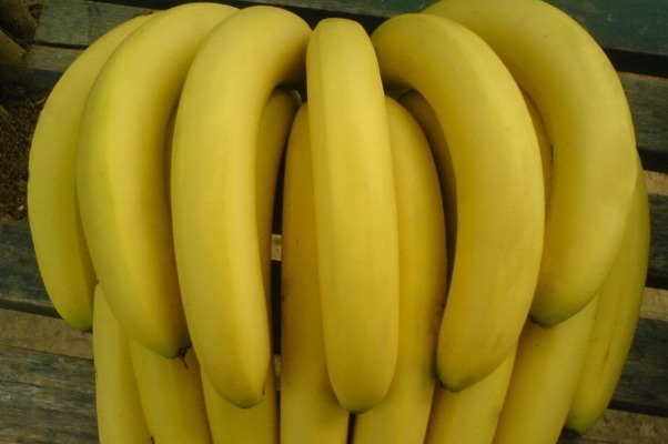 消化吸收|香蕉和3种食物一起吃,排毒减肥营养加倍,女性朋友可以常吃