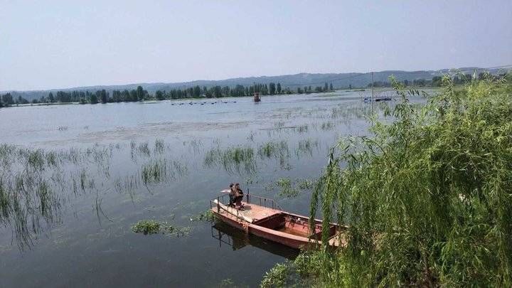 蒲草&青未了/董国宾：香蒲草